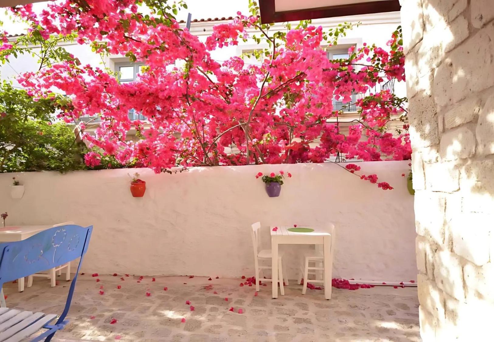 ألاتشاتي Alayaz Hotel المظهر الخارجي الصورة